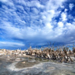 "Epecuén"