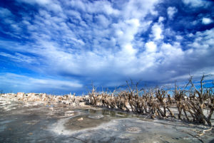 "Epecuén"